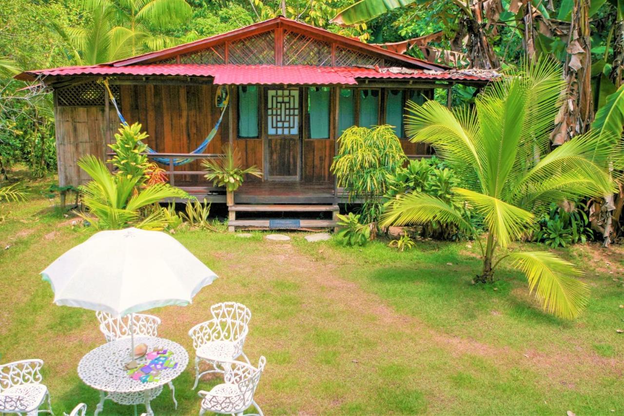 Ocean Forest Ecolodge San Pedrillo Экстерьер фото