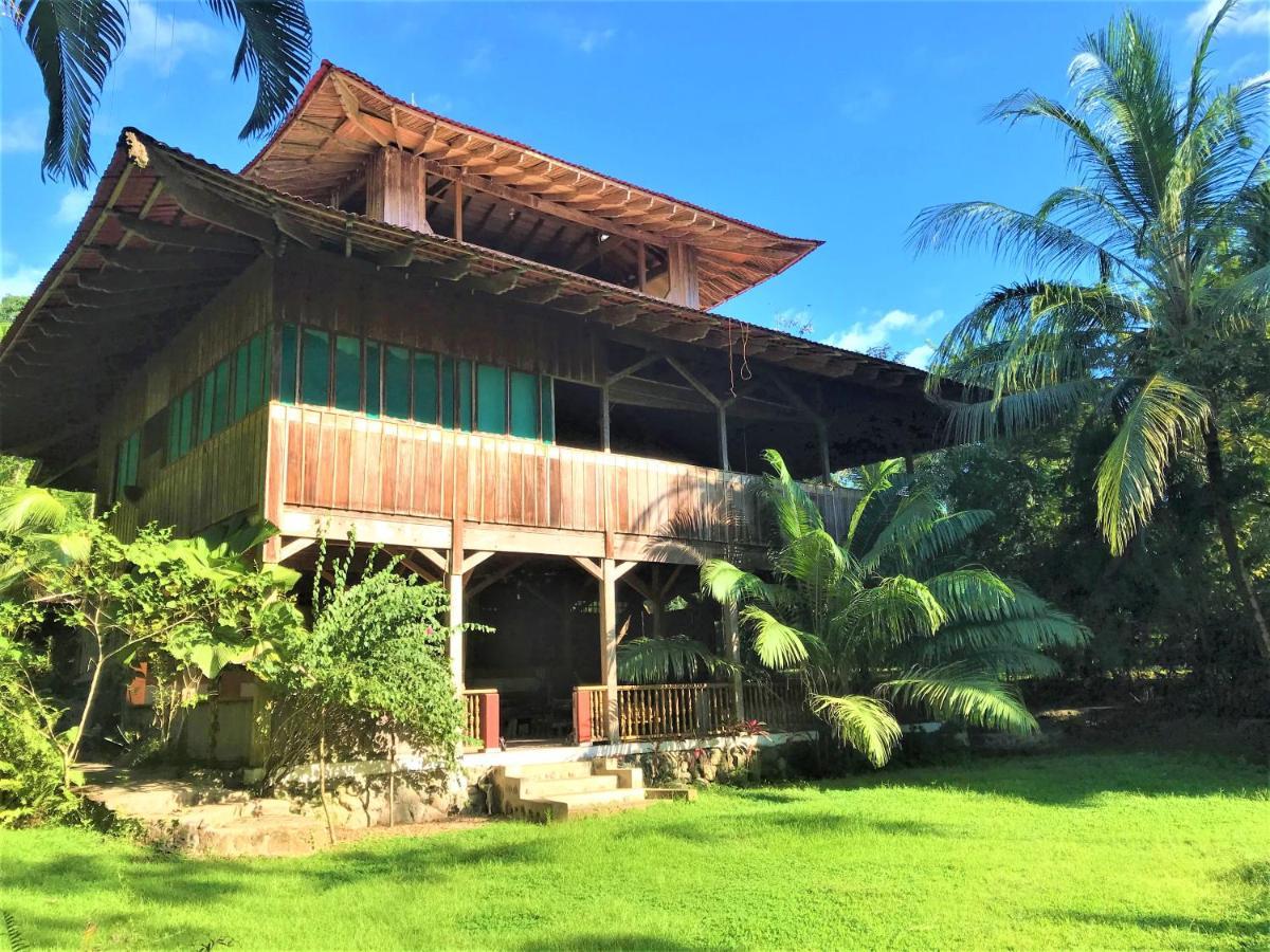 Ocean Forest Ecolodge San Pedrillo Экстерьер фото