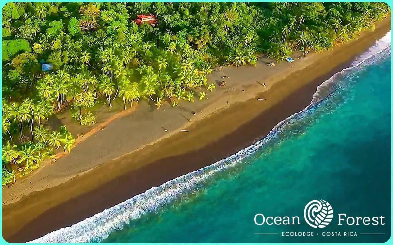 Ocean Forest Ecolodge San Pedrillo Экстерьер фото