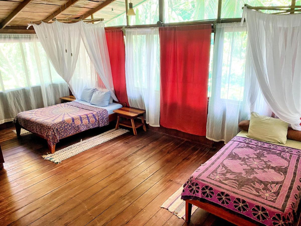Ocean Forest Ecolodge San Pedrillo Экстерьер фото