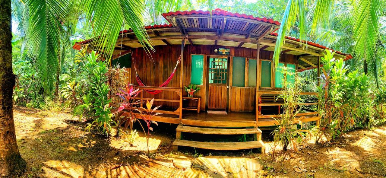 Ocean Forest Ecolodge San Pedrillo Экстерьер фото