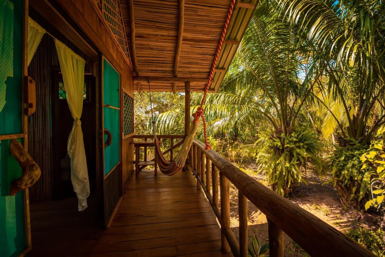 Ocean Forest Ecolodge San Pedrillo Экстерьер фото