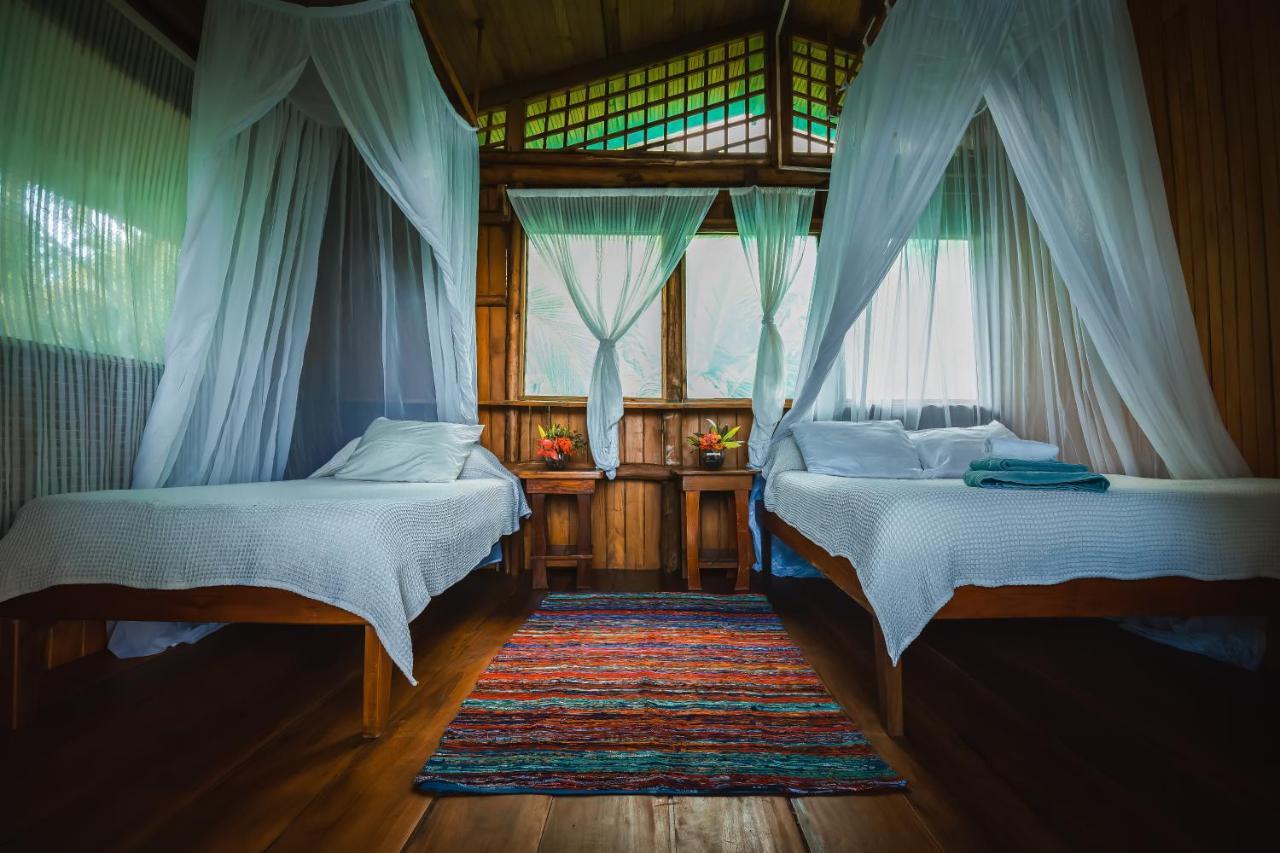 Ocean Forest Ecolodge San Pedrillo Экстерьер фото