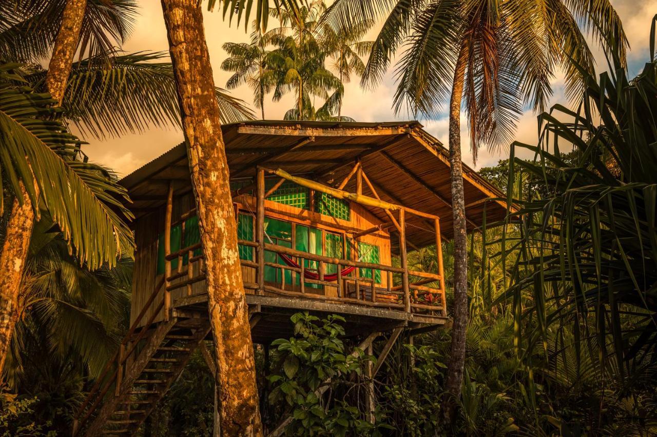 Ocean Forest Ecolodge San Pedrillo Экстерьер фото