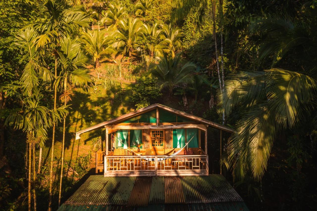 Ocean Forest Ecolodge San Pedrillo Экстерьер фото