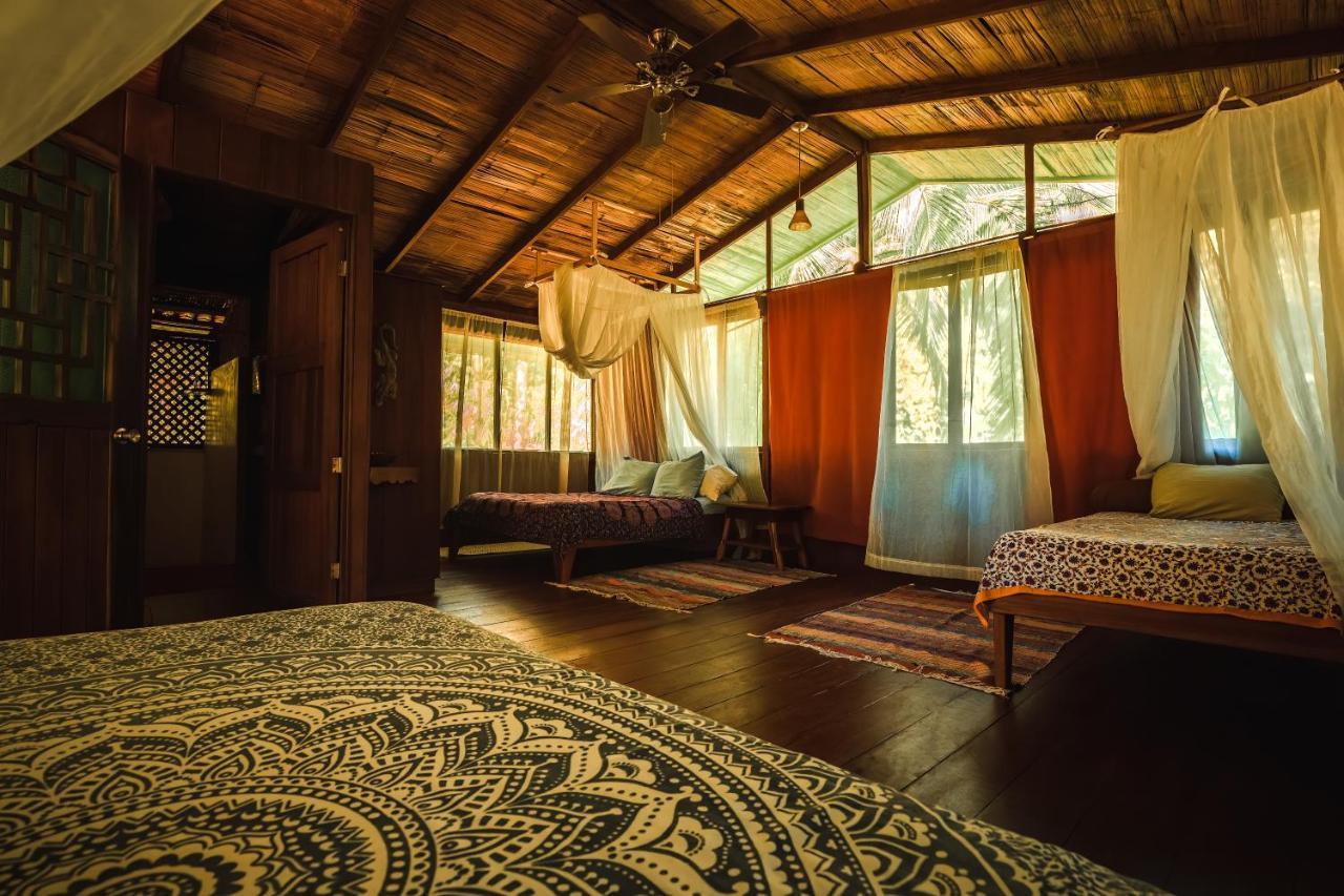 Ocean Forest Ecolodge San Pedrillo Экстерьер фото