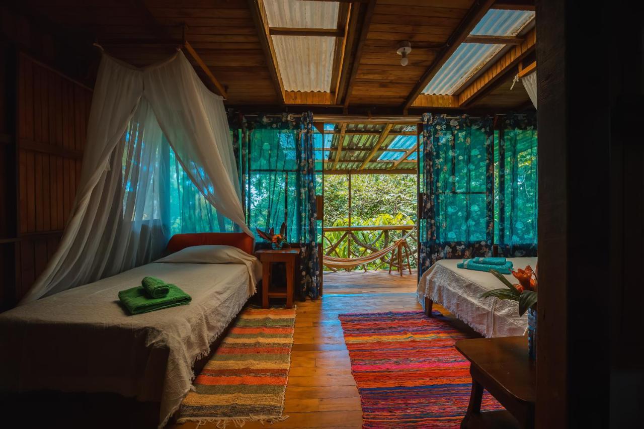 Ocean Forest Ecolodge San Pedrillo Экстерьер фото