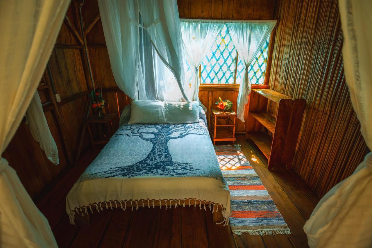 Ocean Forest Ecolodge San Pedrillo Экстерьер фото