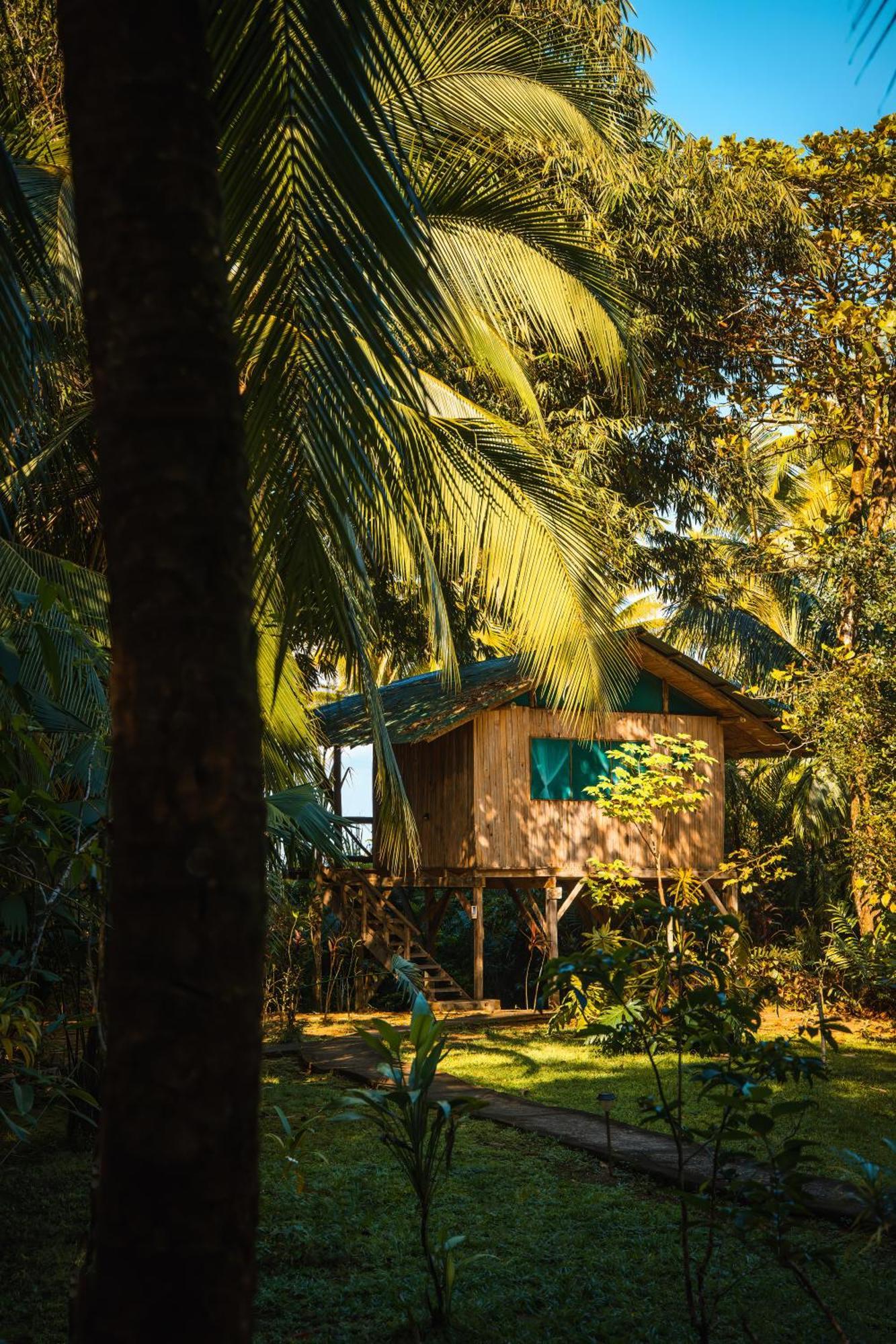 Ocean Forest Ecolodge San Pedrillo Экстерьер фото