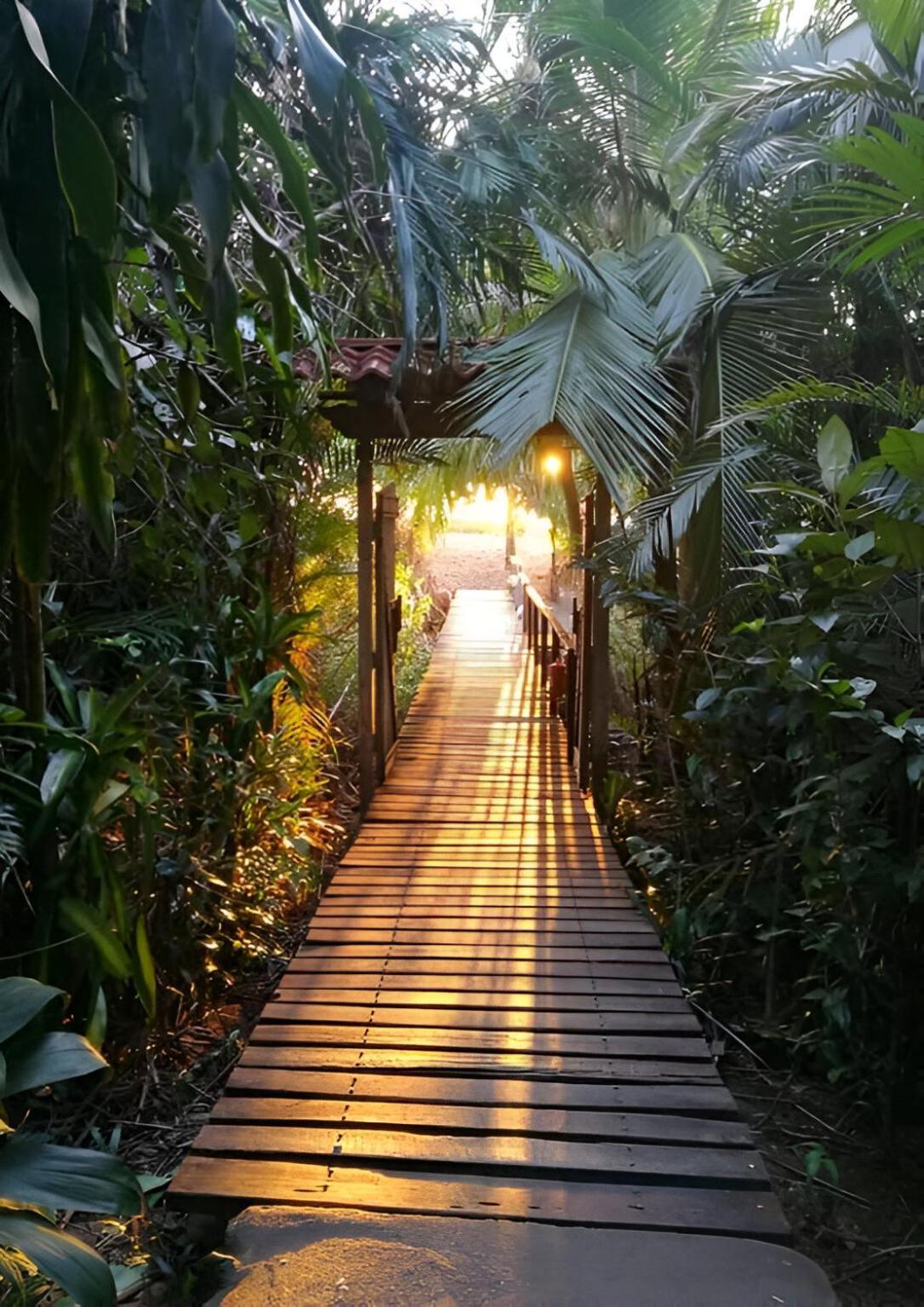 Ocean Forest Ecolodge San Pedrillo Экстерьер фото