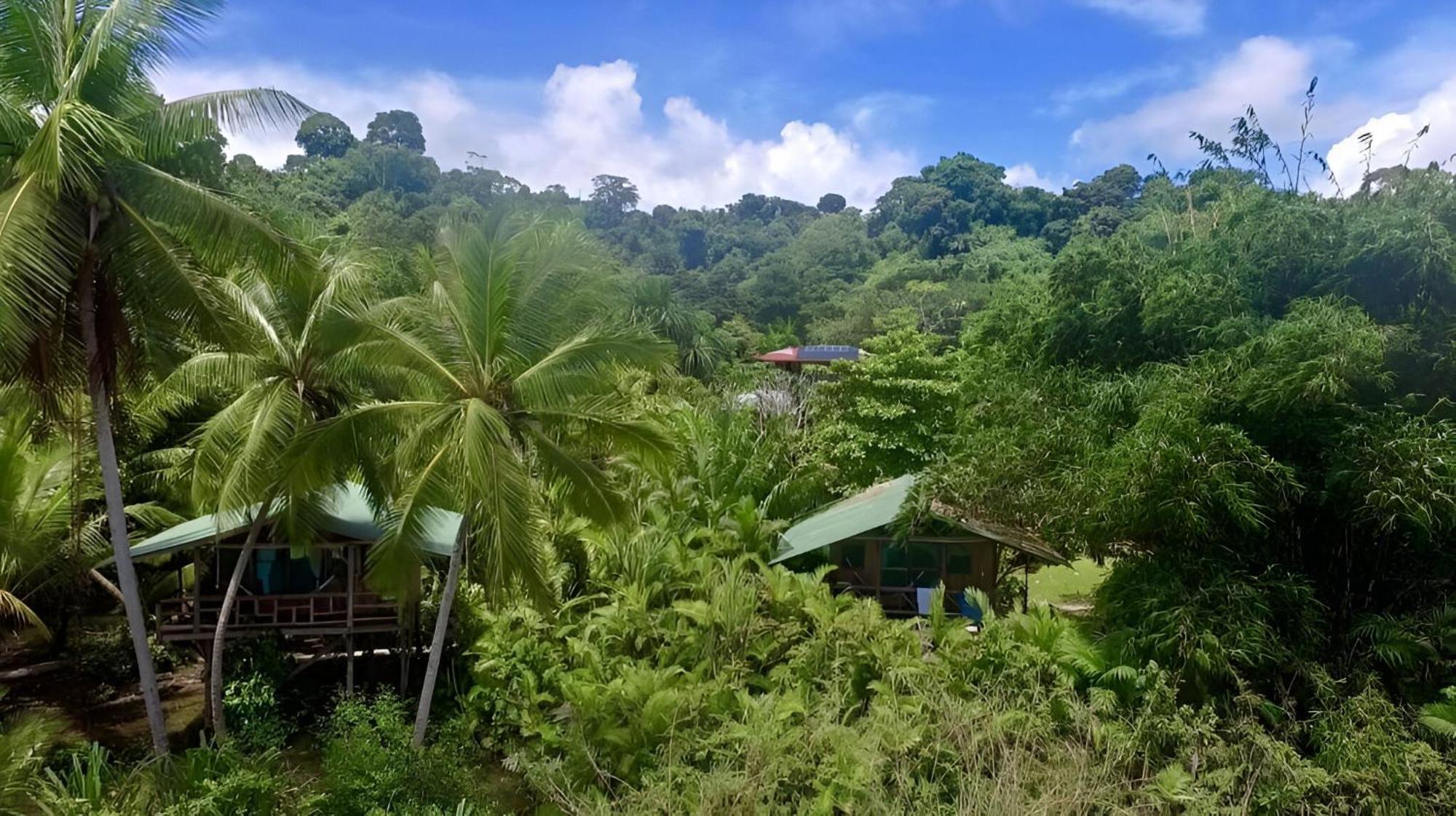 Ocean Forest Ecolodge San Pedrillo Экстерьер фото