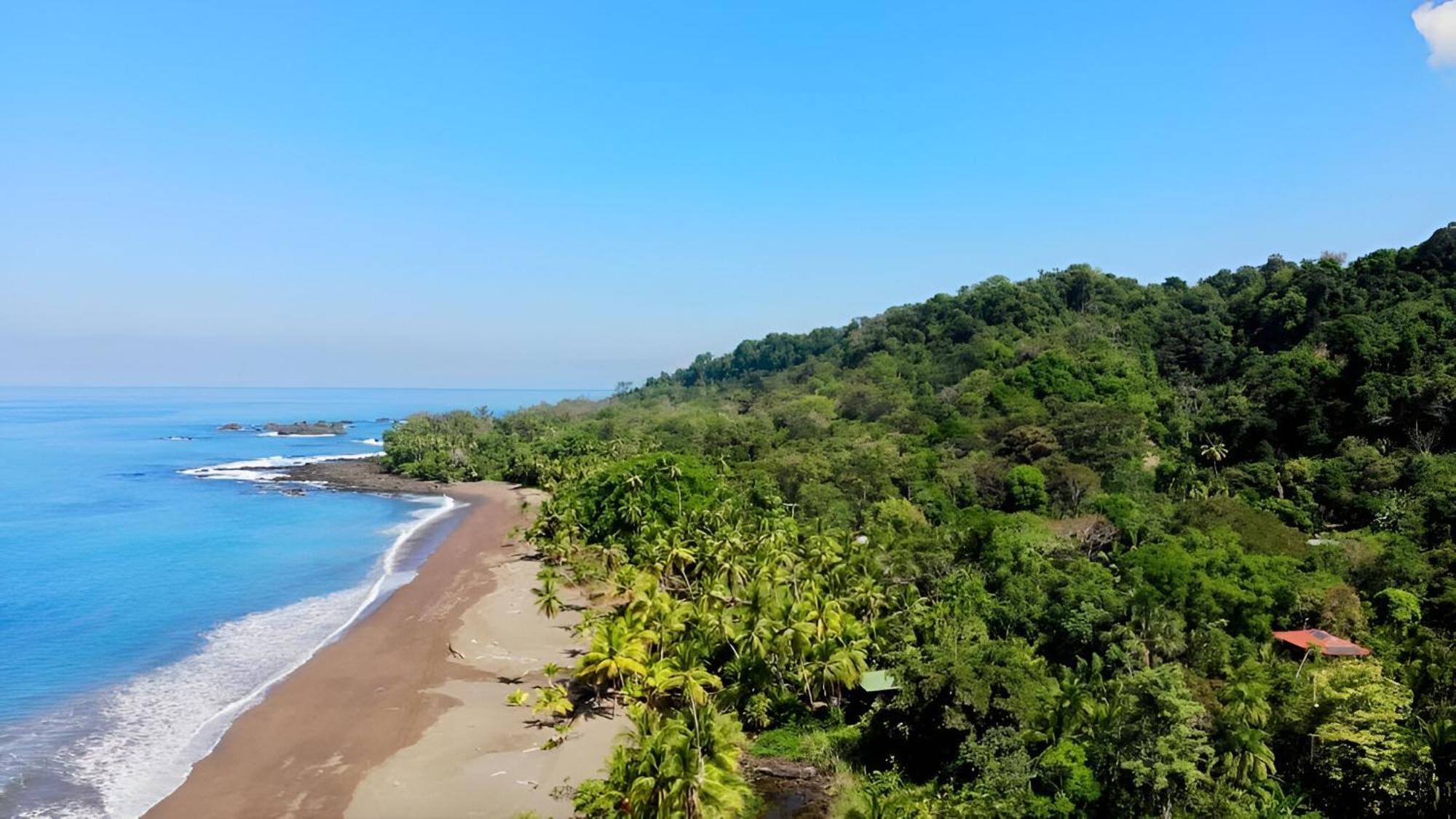 Ocean Forest Ecolodge San Pedrillo Экстерьер фото