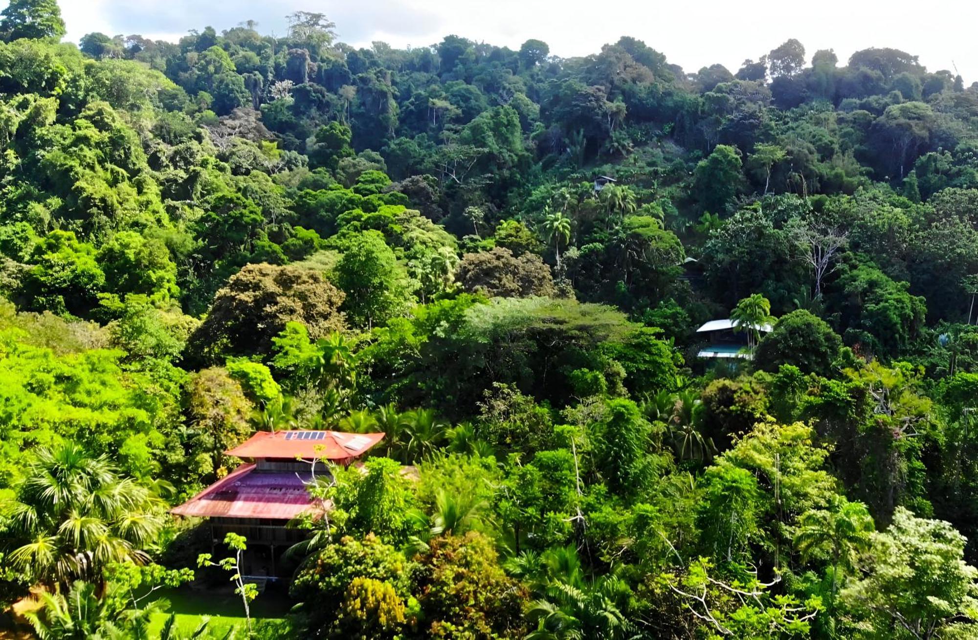 Ocean Forest Ecolodge San Pedrillo Экстерьер фото